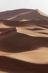 Fototapeta na wymiar Sahara w Maroku, 2013