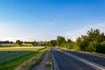 Fototapeta na wymiar country road in rural landscape with trees at the horizon and blue sky in summer in Bad Friedrichshall, Heilbronn, Germany. Empty curved asphalt road with dividing line on a sunny day