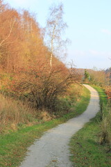 Lonely walk. autumn