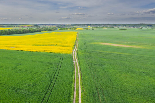 Przedgórze Sudeckie. Pola uprawne z plantacjami kwitnącego rzepaku. Zdjęcie zrobione przy użyciu latającego drona. © boguslavus