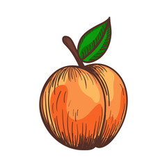 Icon Of Peach