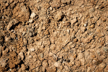 Abstract ground texture background