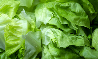 closeup selective focus fresh green leaves cabbage vegetable background, ingredient  prepare for cooking, healthy clean food