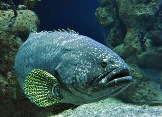 Haus des Meeres Wien