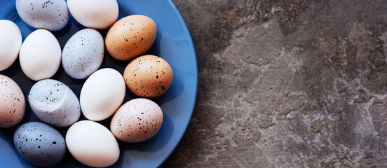 Blue plate with Easter eggs and a feather on a concrete background. Top view with copy space.