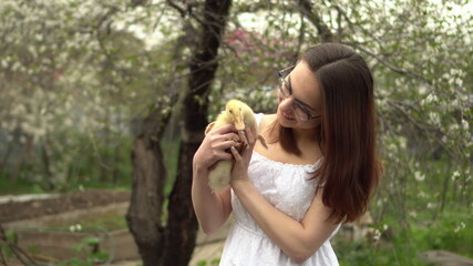 A young woman in a white dress holds a real duckling in her arms. Girl in the garden with a bird.