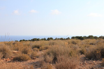 Fototapeta premium Spanish landscape