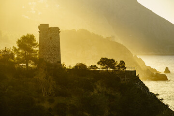 Spanish coast with Pine Tower, Andalusia.