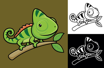 Funny chameleon on tree branches. Vector cartoon illustration in flat icon style © Bhonard21