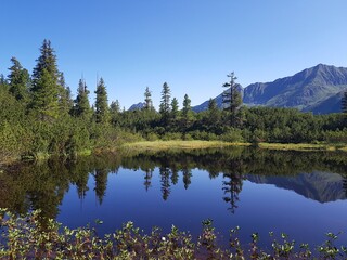 Wiegenwald Uttendorf, Wiegenwald, Zirbenwald, Uttendorf, Weißsee Gletscherwelt, Weißsee Uttendorf