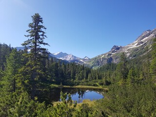 Wiegenwald Uttendorf, Wiegenwald, Zirbenwald, Uttendorf, Weißsee Gletscherwelt, Weißsee Uttendorf