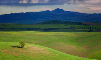 Fototapeta na wymiar Tuscan rural landscape in the may morning
