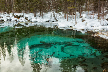 Fototapeta na wymiar Geyser lake in Altai in winter, Russia