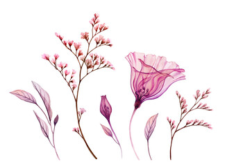 Watercolor florals. Collection of transparent ilusianthis flower, leaves, brushes in blush pink color. Hand painted isolated design. Botanical illustration for wedding design, greeting cards - 435625362