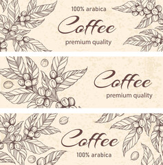 Horizontal banners with coffee plants