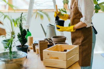 Unrecognizable woman taking care of plants and home flowers, wearing casual stylish clothes. Girl...