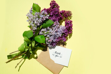 Lilac flowers on yellow background