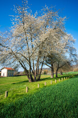 Obraz premium Paysage campagne 864