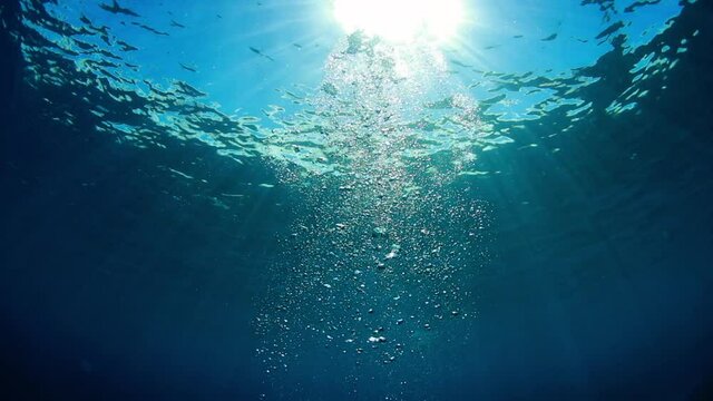 Close-Up Lockdown Shot Of Bubbles In Sea, Sunlight Falling Underwater - Big Island, Hawaii