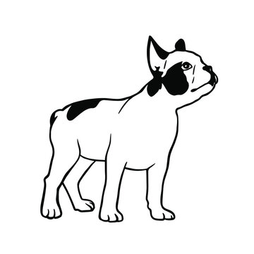 french bulldog pappy in graphic style. Creative illustrations
Clipart file for cutting vinyl decal and printing