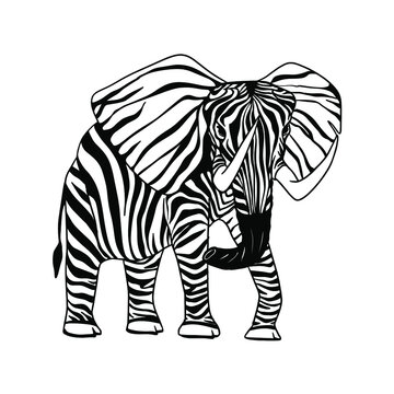Elephant zebra vector file for cutting vinyl decal stickers