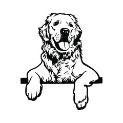 Portrait of a Golden Retriever With a tongue.
Clipart file for cutting vinyl stickers - obrazy, fototapety, plakaty