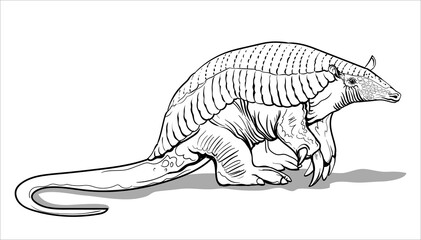 A giant armadillo with thick legs stands on the ground. Big fat animal. Coloring page for children and adults, hand drawn illustration