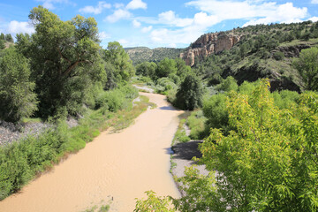 Fototapeta na wymiar Gila River in Gila National Forest, New Mexico, USA