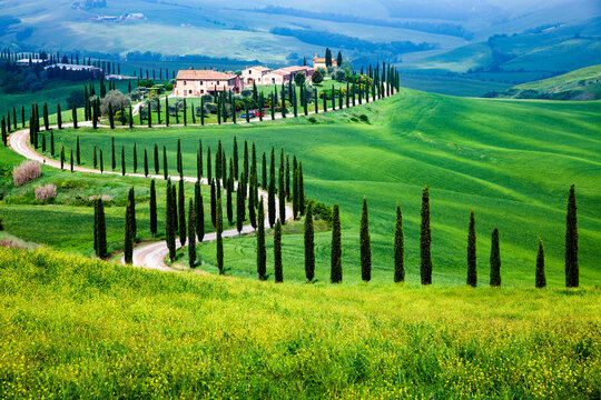 Farmhouse in green summer landscape near Crete Senesi, Tuscany, Italy