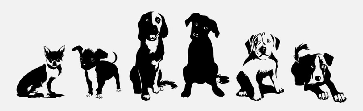 Collection silhouettes with cute dogs of different breeds. Icons, emblemes and tattoos. Set of funny dogs, on a white background. Furry human friends home animals