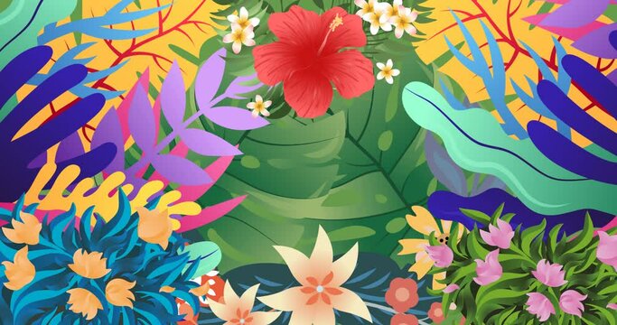 Animation of colourful tropical leaves and foliage on green background