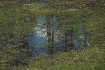 the sky is reflected in a puddle on the grass 
