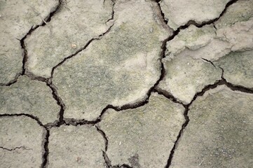 dry crack soil in country Thailand