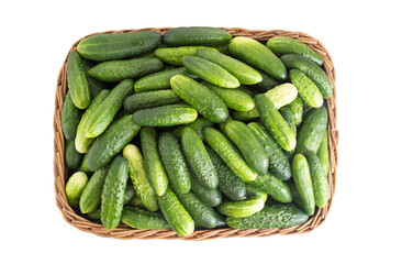 Green cucumbers in a wicker basket on a white background, isolate, close-up. Agriculture, cooking