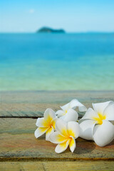 White frangipani plumeria flowers on the old green grunge wooden  tabletop with beautifull sea view background.