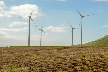 Wind farm on Canary island in Lanzarote, Spain
