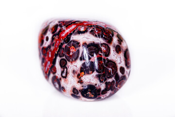 Macro mineral stone Jasper leopard on white background