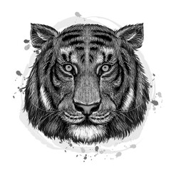 Tiger. White and black, graphic, hand-drawn portrait of a tiger looking ahead on a white background with blots. Wall stickers	