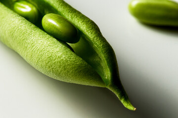 Green Pod on a white background