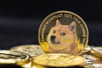 Dogecoin Crypto Currency