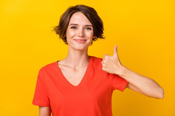 Portrait of pretty glad girl show thumb up smile look camera wear orange isolated on yellow color background