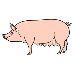 comic pig from the side. vector isolated.