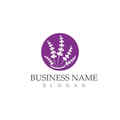 fresh lavender logo vector template flat
