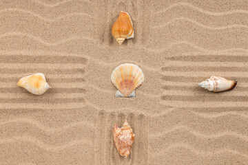 Naklejka na ściany i meble Seashells lying in a cross on the sand. Top view.