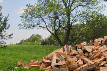 A large pile of firewood on the meadow. Selective focus