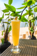 Cocktails or juice from fresh tropical fruits on the background of the sea.