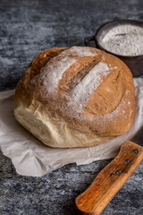 homemade bread with seeds ready to eat