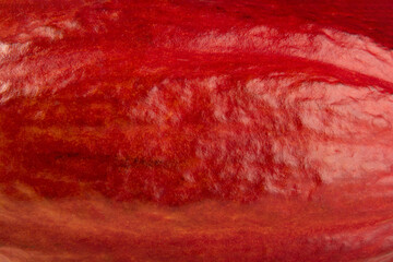 Background with texture of cocoa fruit peel
