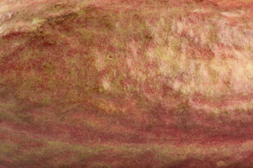 Background with texture of cocoa fruit peel