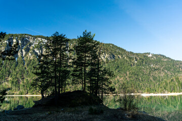 Bäume vor dem Eibsee